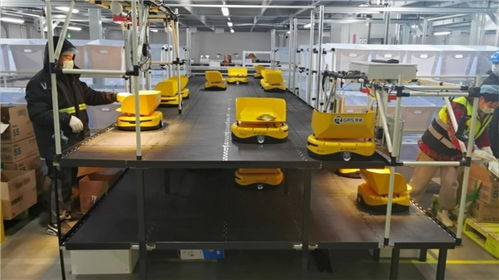 備戰618 機器人先上陣，鏢普、小黃人、RaaS技術助力高效柔性自動化分揀